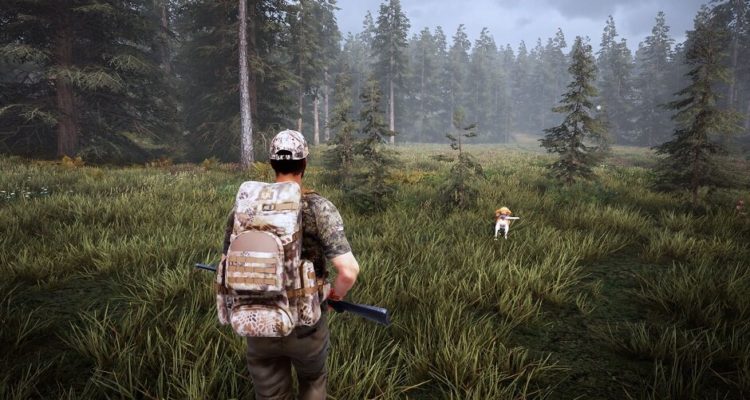 Hunting Simulator 2