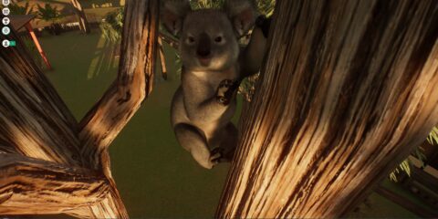 Planet Zoo: Australia Pack Koala