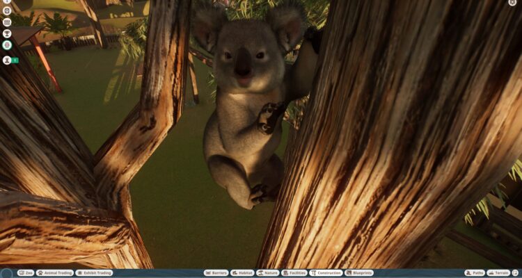 Planet Zoo: Australia Pack Koala