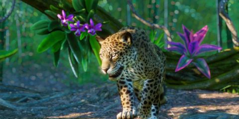 Planet Zoo: South America