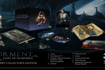 Torment: Tides of Numenera Collector's Edition